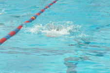 Enlarge photo 916