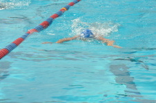 Enlarge photo 917