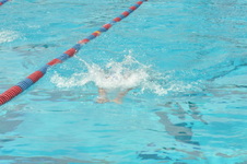 Enlarge photo 920