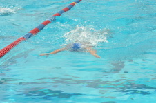 Enlarge photo 921
