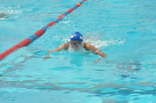 Enlarge photo 922