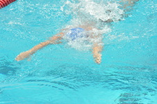 Enlarge photo 929