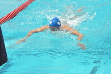 Enlarge photo 930