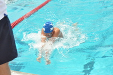 Enlarge photo 932