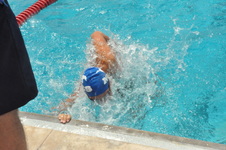 Enlarge photo 934