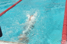 Enlarge photo 937