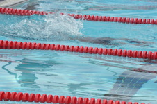Enlarge photo 952