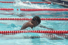 Enlarge photo 956