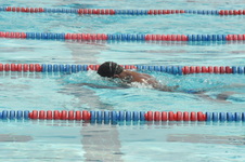 Enlarge photo 962