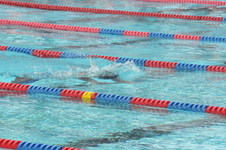 Enlarge photo 977