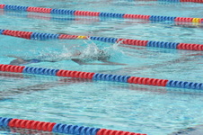 Enlarge photo 982