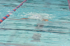 Enlarge photo 997