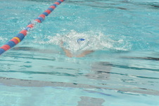Enlarge photo 1003