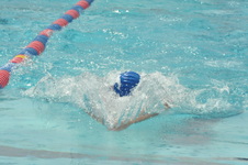 Enlarge photo 1005