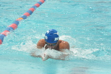 Enlarge photo 1009