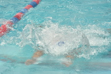 Enlarge photo 1013