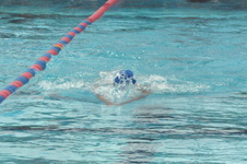 Enlarge photo 1034