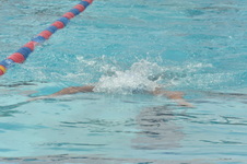 Enlarge photo 1042