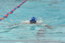 Enlarge photo 1043