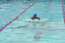 Enlarge photo 1045
