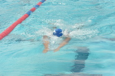 Enlarge photo 1054