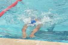 Enlarge photo 1058