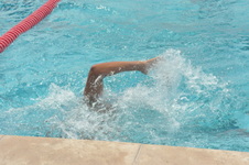 Enlarge photo 1061