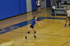Enlarge photo 143