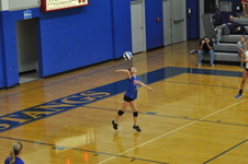 Enlarge photo 145