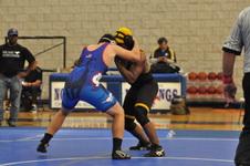 Enlarge photo 245