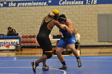Enlarge photo 306
