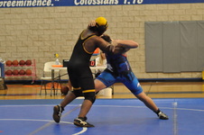 Enlarge photo 309