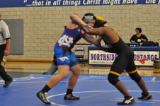 Enlarge photo 458