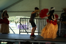 Enlarge photo 274