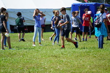 Enlarge photo 446
