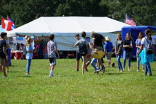 Enlarge photo 463