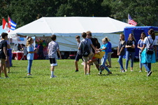 Enlarge photo 464