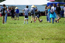 Enlarge photo 469