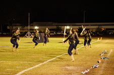 Enlarge photo 223