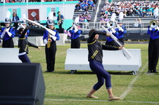 Enlarge photo 96