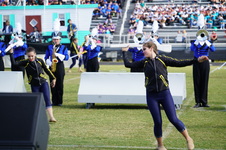 Enlarge photo 98