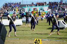 Enlarge photo 132