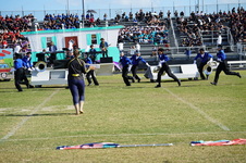 Enlarge photo 190