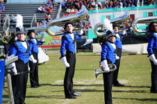 Enlarge photo 221