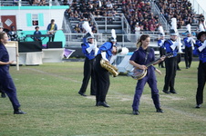 Enlarge photo 318