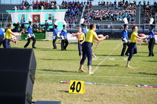Enlarge photo 367