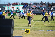Enlarge photo 370