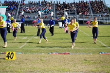 Enlarge photo 371
