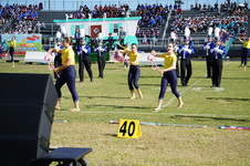 Enlarge photo 373