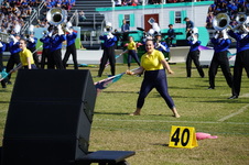 Enlarge photo 381